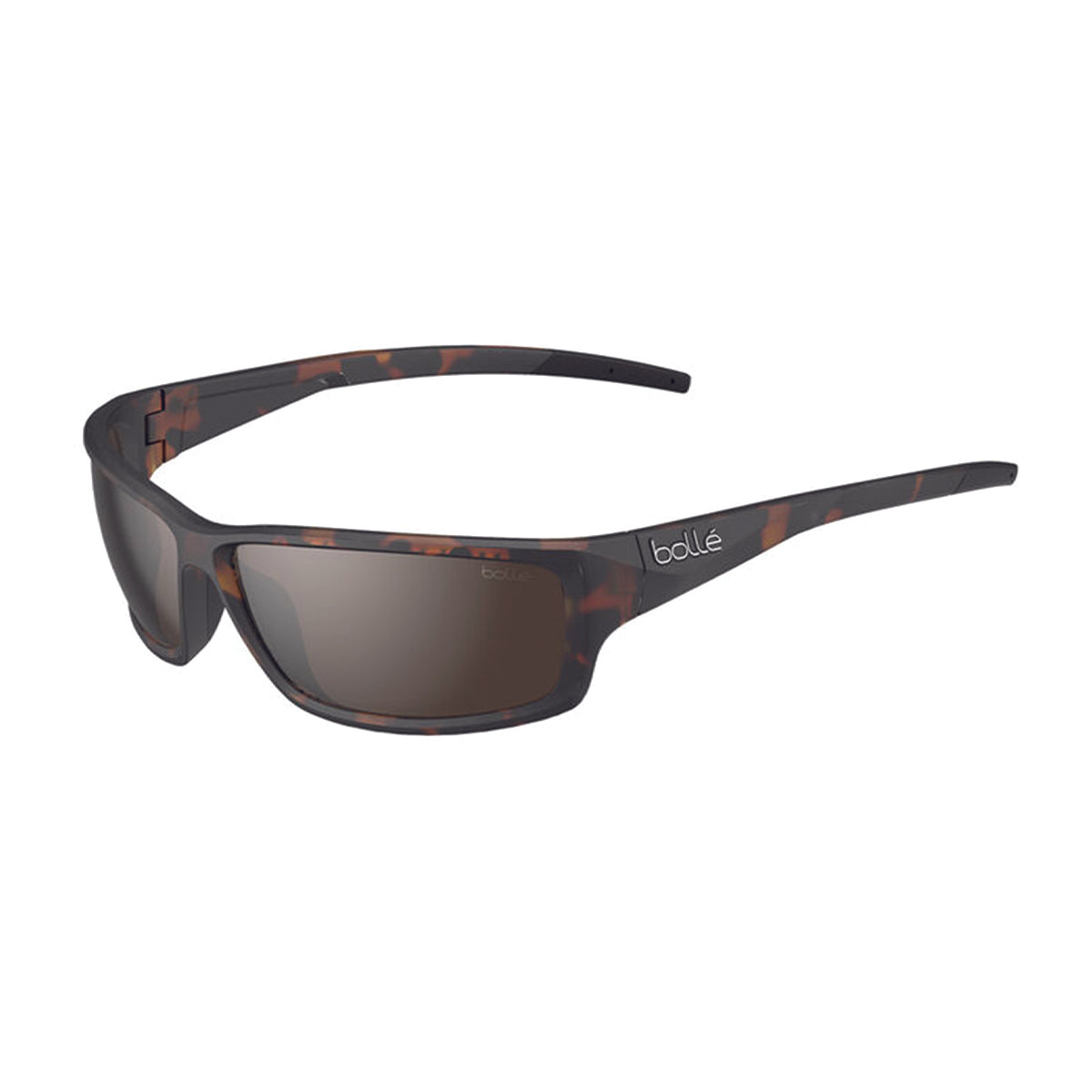 BOLLE CERBER Dark Tortoise Shiny - Brown Polarized